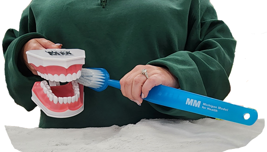 Teacher demonstrating toothbrushing with large model teeth and toothbrush
